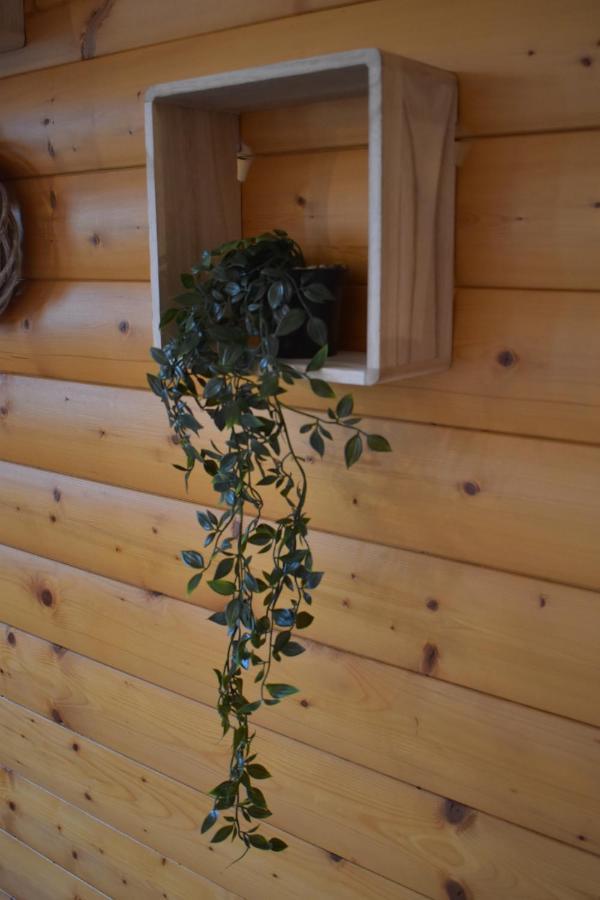 Gite Du Cheval Blanc Sainte-Ode Екстериор снимка